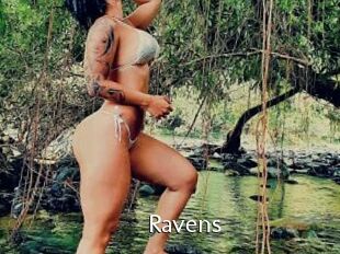 Ravens