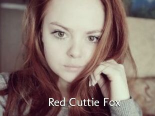 Red_Cuttie_Fox