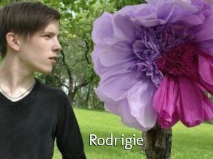 Rodrigie