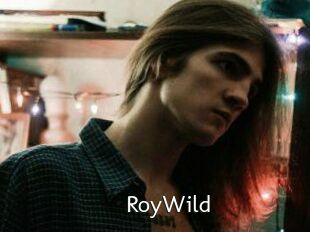 RoyWild