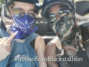 RussianfoxnBlackstallion