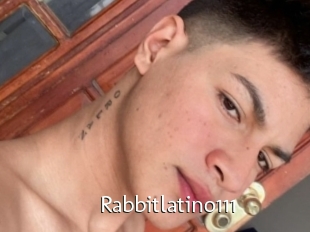 Rabbitlatino111