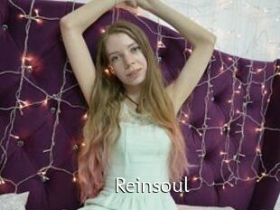 Reinsoul