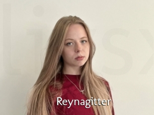 Reynagitter