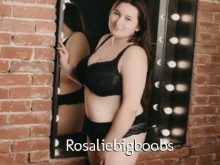 Rosaliebigboobs