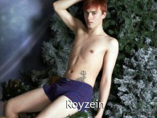 Royzein