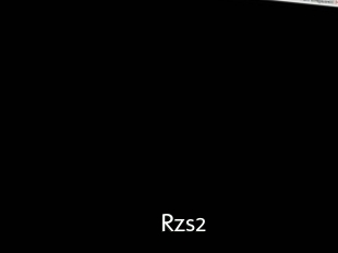 Rzs2