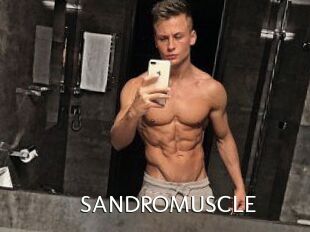 SANDRO_MUSCLE