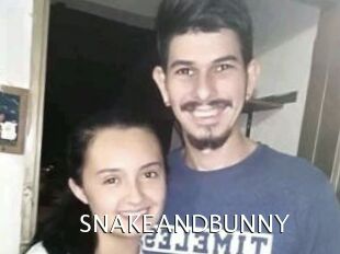 SNAKEANDBUNNY