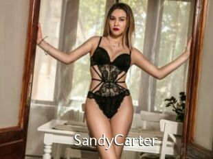 SandyCarter