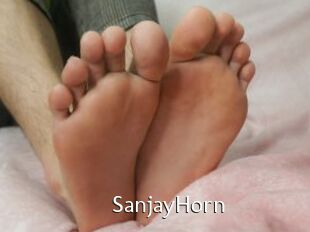 SanjayHorn