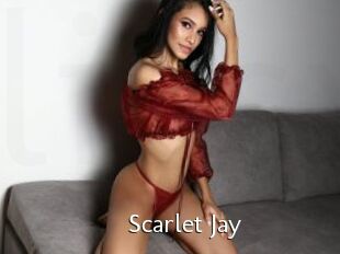 Scarlet_Jay