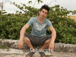 Sebascute