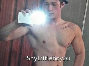 ShyLittleBoy20