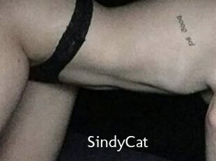 SindyCat