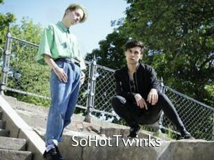 SoHotTwinks