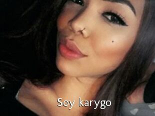 Soy_karygo