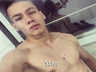 Stier