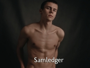 Samledger
