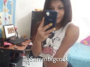 Sammbigcock