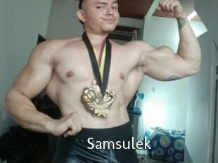 Samsulek