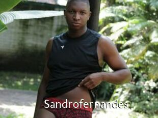 Sandrofernandes