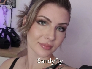 Sandyfly