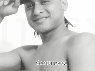 Scottrosee