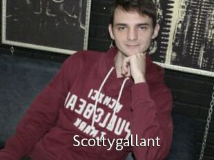 Scottygallant