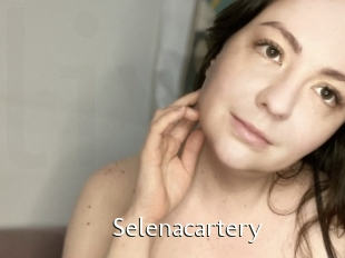 Selenacartery