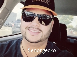 Senorgecko