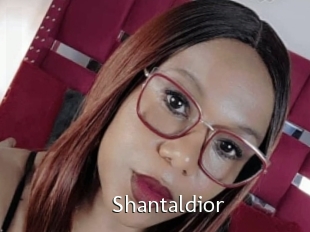 Shantaldior