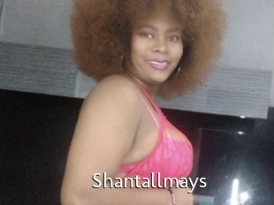 Shantallmays