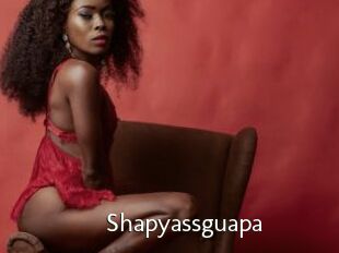 Shapyassguapa