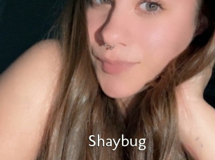 Shaybug