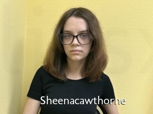 Sheenacawthorne