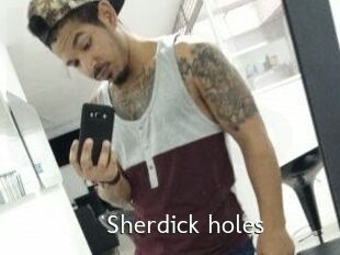 Sherdick_holes