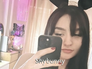 Shybunny