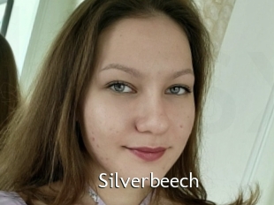 Silverbeech