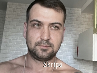 Skripa