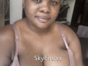 Skybirdxx