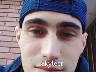 Skyleer
