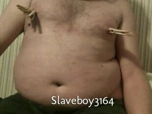 Slaveboy3164