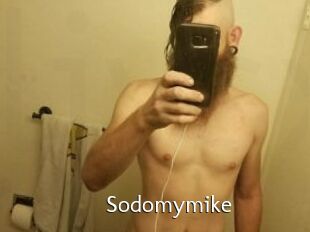 Sodomymike