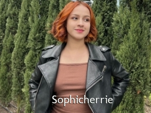 Sophicherrie