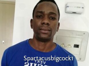 Spartacusbigcock1
