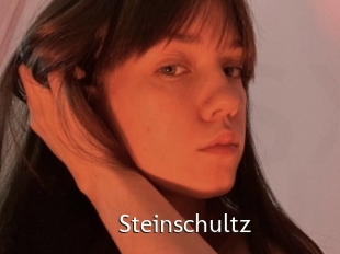 Steinschultz