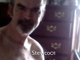 Stewco01