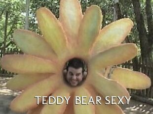 TEDDY_BEAR_SEXY