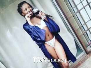 TINY20004